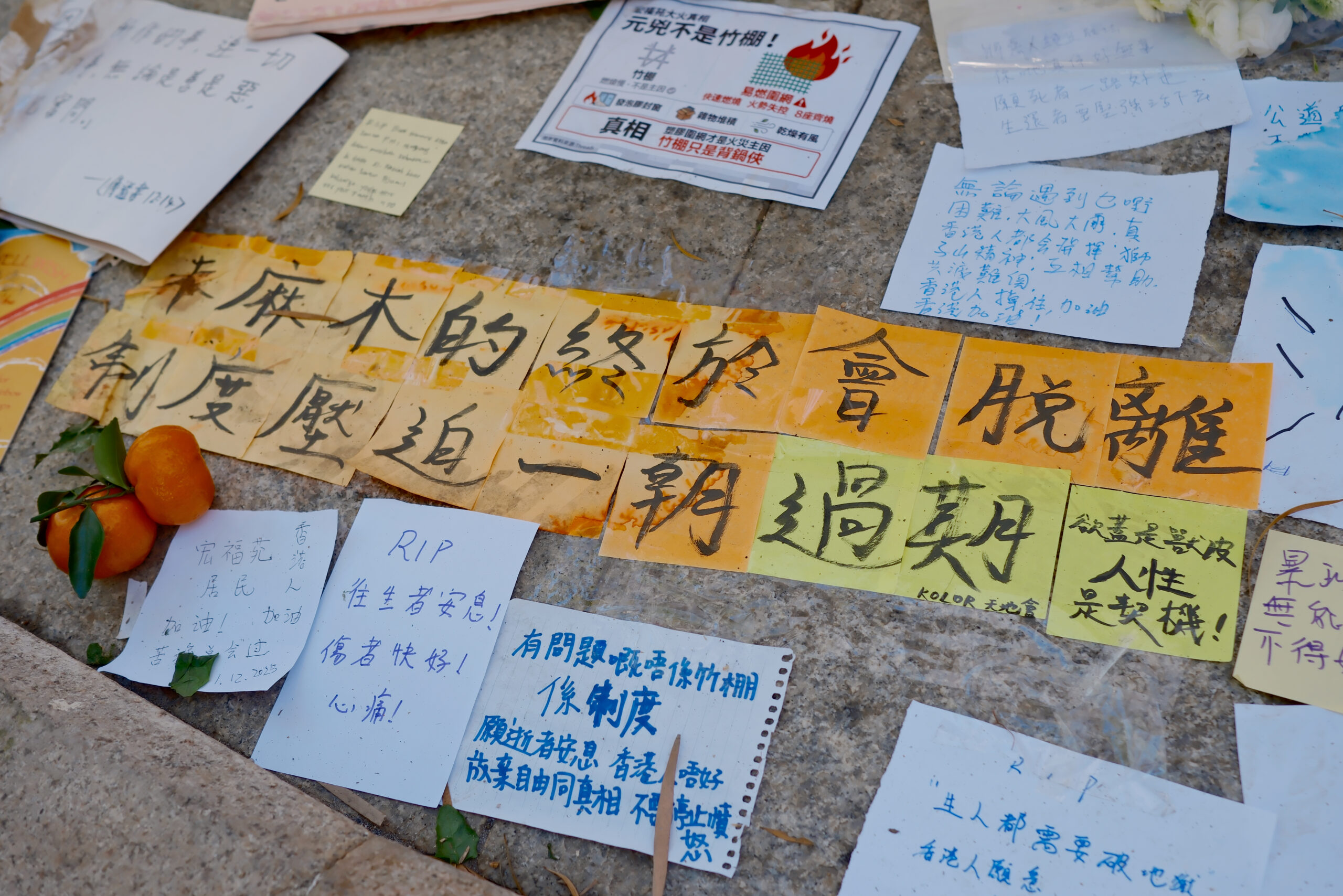 香港人都要睇《共同知識》